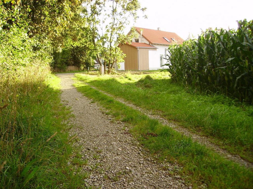 Villa Wiflinger Graben Einfamilienhaus Wörth Exterior foto